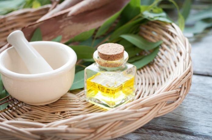 eucalyptus oil