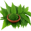 Neem & Tulsi Fragrance Oil