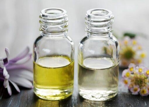 Cactus Blossom Candle Fragrance Oils
