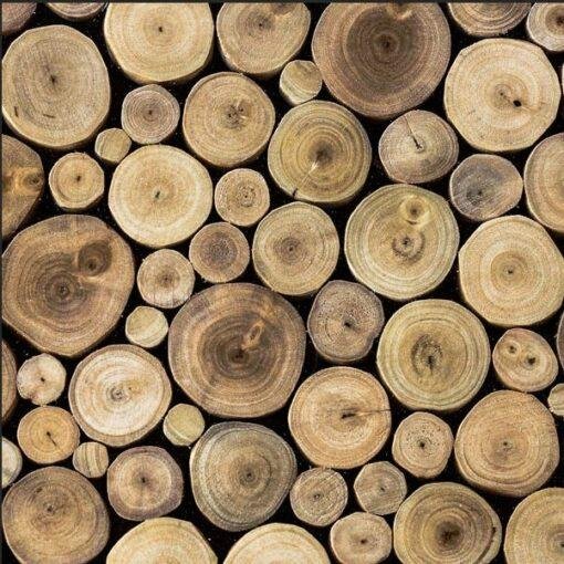 French Oak Fragrance oil