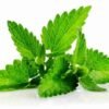 Patchouli Solid Deo Fragrance Oil