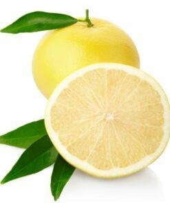 Vedini grapefruit white essential oil