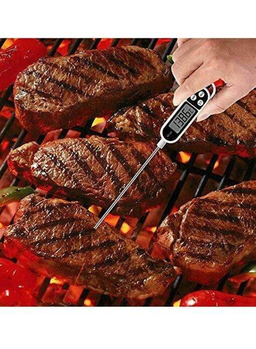 Digital Thermometer Tp-300 (Range-50 C to 300 C) - Image 3