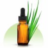 Vetiver Essential Oil