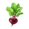 Beet Root Natural Extracts