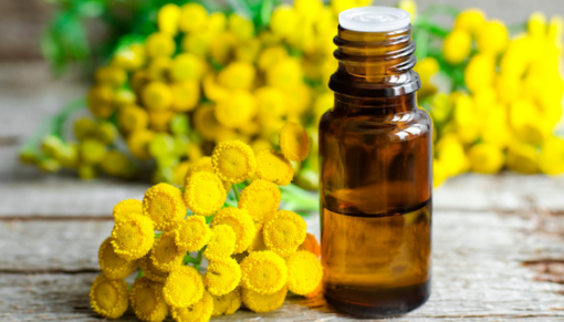 Blue Tansy Essential Oil
