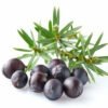 Juniper Berry Hydrosol