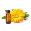 Calendula Essential Oil