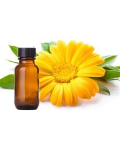 Calendula Essential Oil