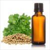 Coriander Essential Oil