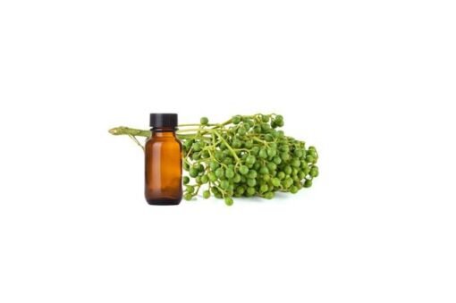 May Chang (Litsea Cubeba) Essential Oil