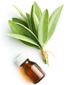 Sage (Spanish) Essential Oil