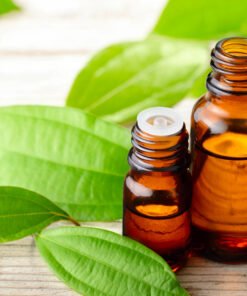Cinnamon Leaf Essential Oil