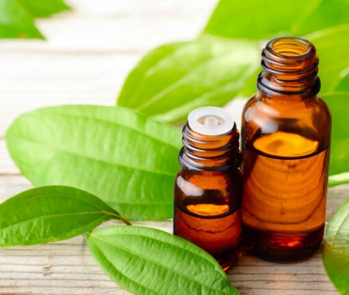 Cinnamon Leaf Essential Oil