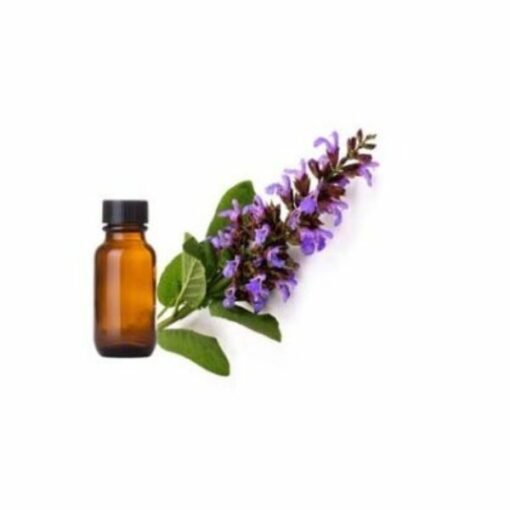 Clary Sage Essential Oil