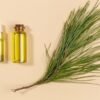 Dill Essential Oil