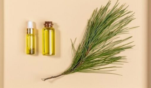 Dill Essential Oil