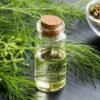 Fennel Essential Oil
