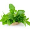 Tulsi (Basil) Extracts