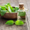 Melissa Essential Oil