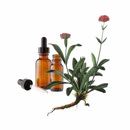 Jatamansi Spikenard Essential Oil Jindeal Inc 5399