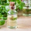 Marjoram Essential Oil