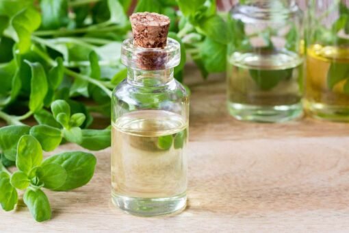 Marjoram Essential Oil