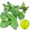 Peppermint Hydrosol