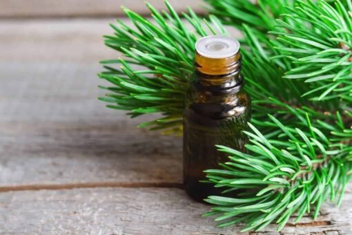 Pine Essential Oil
