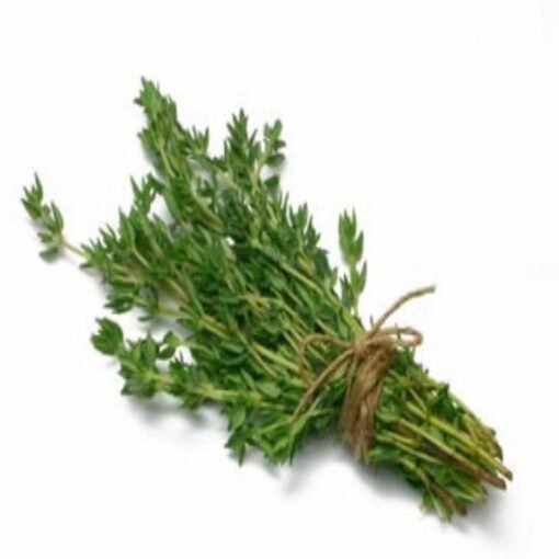 Thyme Hydrosol