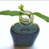 Bhringraj Natural Extracts