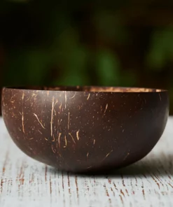 Coconut Shell Bowl