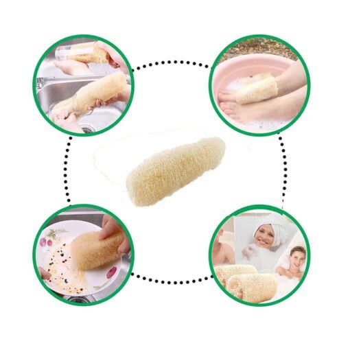 Vedini Natural Loofah| Pack 3| Loofa Bath Sponge Body Face Exfoliating Scrubber Luffa Shower Dish Scouring - Image 2