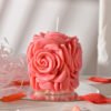 Valentine Day Rose