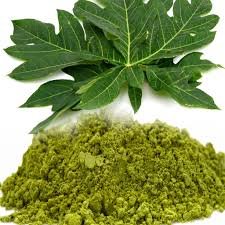 Papaya Powder