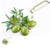 Olive Squalane