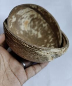 Coconut Shell Bowl Halves Natural Creative Eco-Friendly Reusable Matt Finish Dispatch after 6 days - 150-300ml Oval, Pack of 5pcs