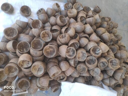 Coconut Shell Bowl Halves Natural Creative Eco-Friendly Reusable Matt Finish Dispatch after 6 days - Image 2