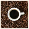 Hazelnut Coffee Fragrance Oil