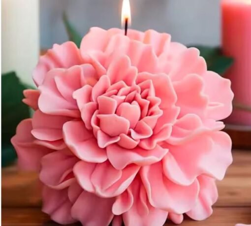 Vedini Carnation Big WCM692