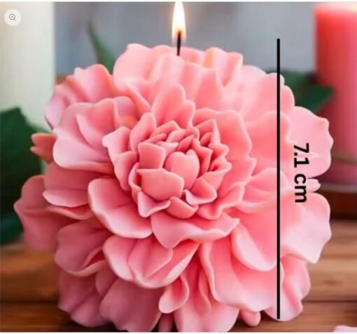 Vedini Carnation Big WCM692 - Image 2