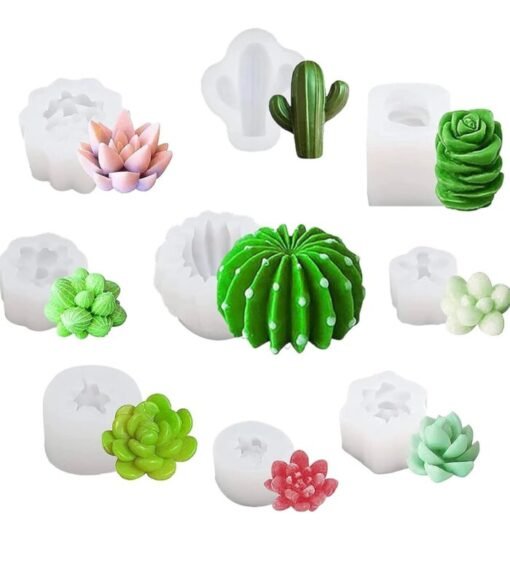 Succulent flower