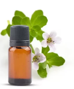 Kumkumadi Oil