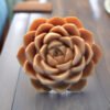 Vedini succulent Flower for candles and soaps JKB-3013 - Image 4