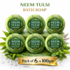 Vedini Neem Tulsi Ready Bath Soap – 100gm x 6 Pack