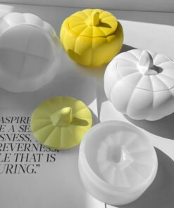 silicone mold with lid