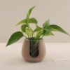 Concrete silicone mold for flowerpot wax melting stove and diffuser holder