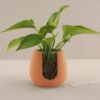 Vedini concrete silicone mold for hydroponic planter and candle holder JKB-3295
