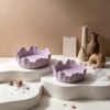 Vedini Irregular Storage Bowl Silicone Mold Irregular Fruit Tray Gypsum Silicone Mold JKB-3446 - Image 4
